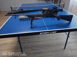 Remington SPS 223rem 