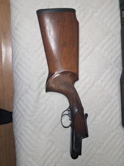 Renato Gamba Daytona StarCup