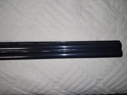 Renato Gamba Daytona StarCup