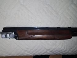 Renato Gamba Daytona StarCup