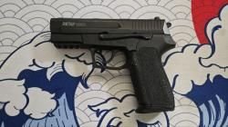 Retay S2022 (СХП SIG SP2022)
