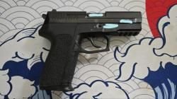 Retay S2022 (СХП SIG SP2022)