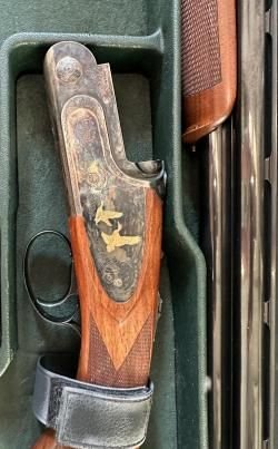 Rizzini Artemis