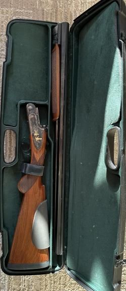 Rizzini Artemis