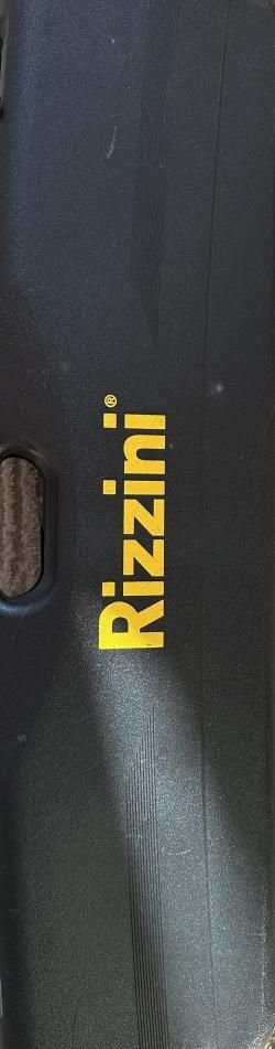 Rizzini Artemis