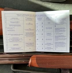 Rizzini Artemis