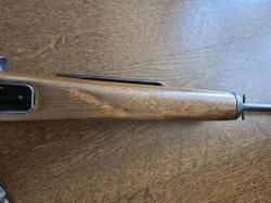 Ruger Mini 14