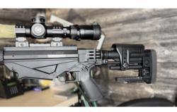 Ruger precision rifle 308 win.