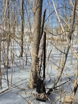 Ружьё ARMSAN A612 CAMO 12 калибр, пятизарядка