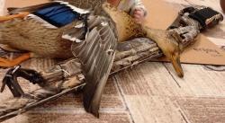 Ружьё ARMSAN A612 CAMO 12 калибр, пятизарядка