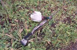 Ружьё ARMSAN A612 CAMO 12 калибр, пятизарядка