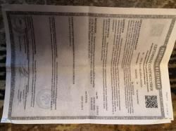 Ружье Beydora BDR 90 AL 