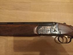 Ружье Битинсоли 