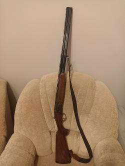 Ружье Битинсоли 