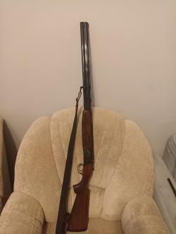 Ружье Битинсоли 