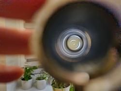 Ружье Chapuis Progress RGP