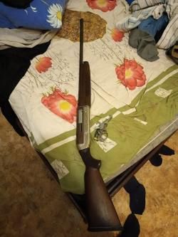 Ружье ТОЗ 87 12×70