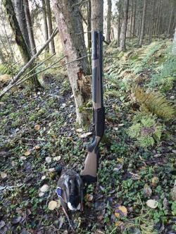 Ружье Typhoon Arma 12 Tactical 