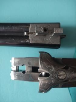 Ружьё ЗАУЭР (три кольца)