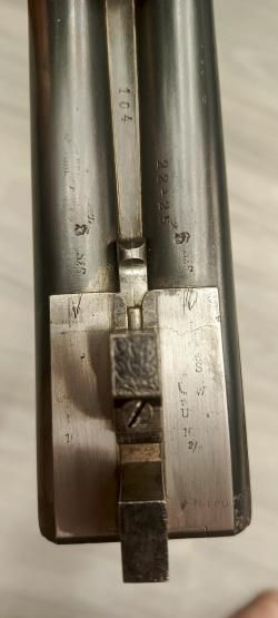  Ружья Зауэр