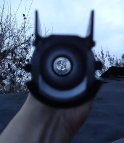 Рысь-Ф в идеале