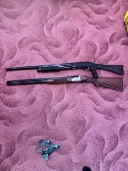 Sabatti airone 12/70