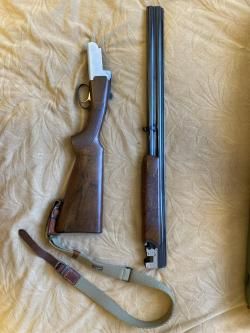 Sabatti FALCON 12/76