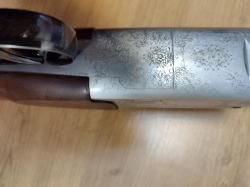 Sabatti forest 12/223