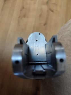 Sabatti forest 12/223