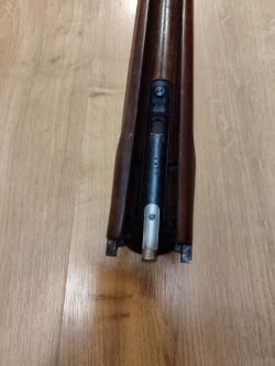 Sabatti forest 12/223