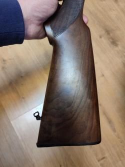Sabatti forest 12/223