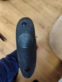 Sabatti forest 12/223