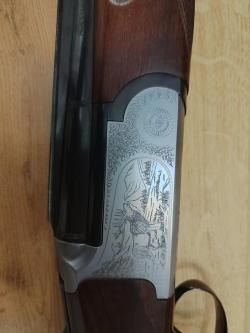 Sabatti forest 12/223