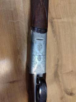 Sabatti forest 12/223