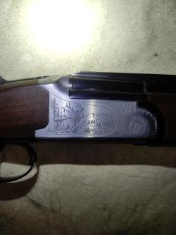 Sabatti Forest 20\ 223