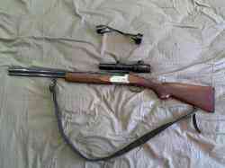 Sabatti Forest 222 / 20/76