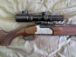 Sabatti Forest 222 / 20/76