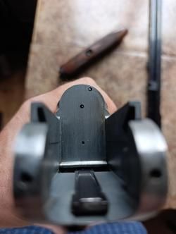 Сабатти Форест