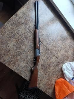 Сабатти Форест