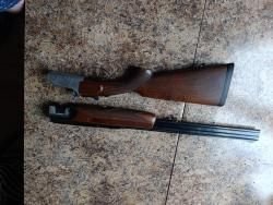 Сабатти Форест