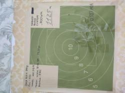 Sabatti rover custom .300WM