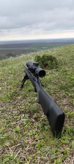 Сабатти САПФИР