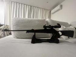 Sabatti saphire 308
