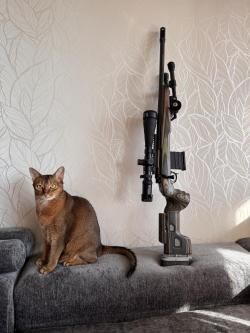 Sabatti Urban Sniper, калибр 6,5х47