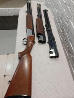 Саббати форестер