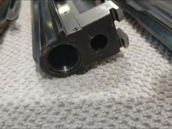 Саббати форестер