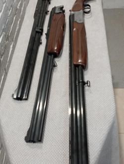 Саббати форестер