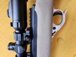 SAG22 (Ruger 10/22)