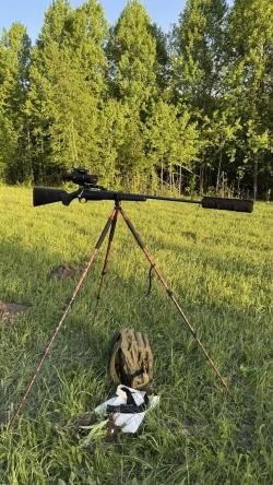 Sako A7 M 300 Win Mag