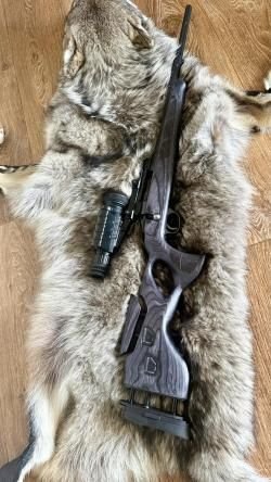 Sako black bear 30-06